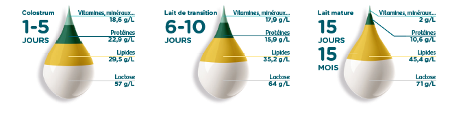 les bienfaits du lait maternel pour bébé