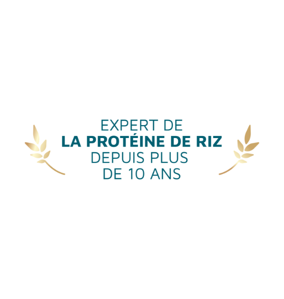 expert proteine de riz