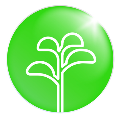 Pictogramme croissance vert avec jeune arbre qui pousse