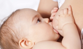 Aplv Identifier Les Symptomes Laboratoire Modilac